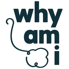 YMI logo